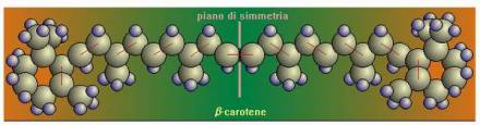 associazione olio